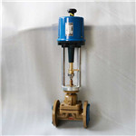 電動隔膜調(diào)節(jié)閥實(shí)物圖